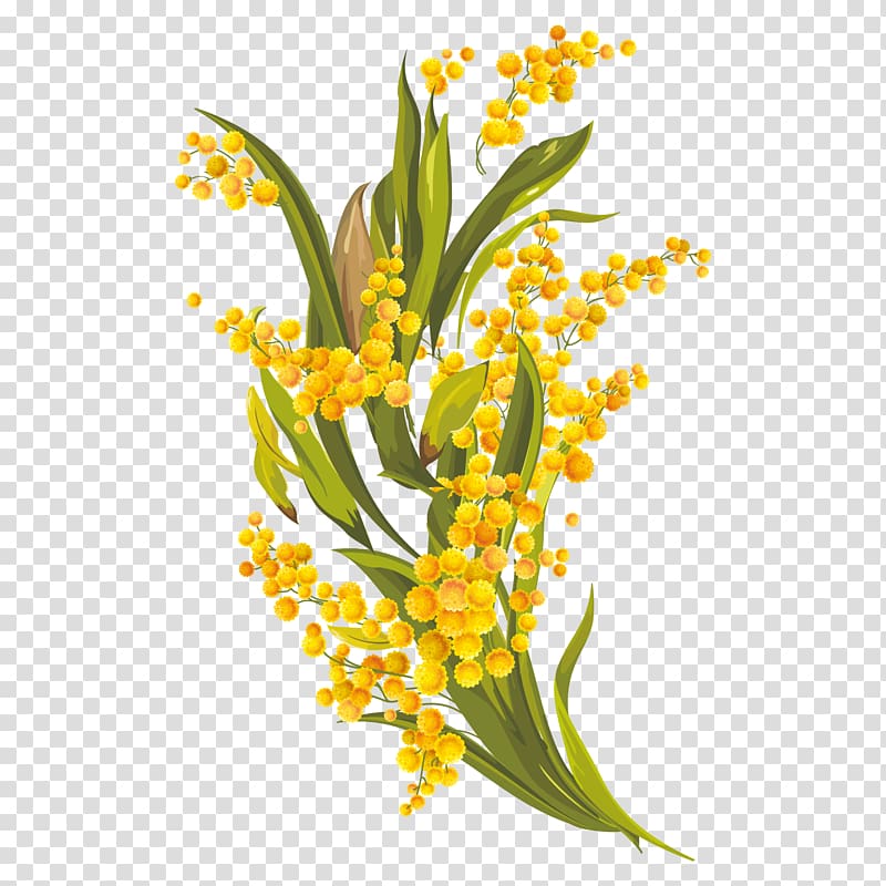 Floral design Common daisy Euclidean , Yellow daisy elements transparent background PNG clipart