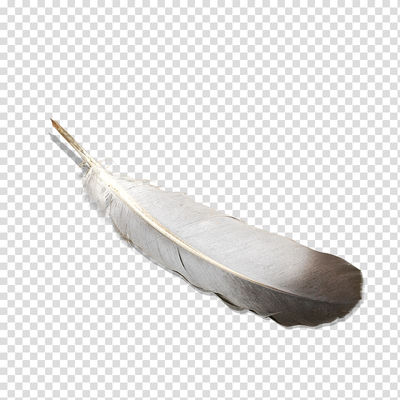 Feather Pen Quill, feather transparent background PNG clipart