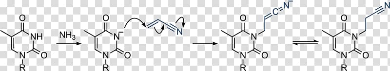 Oligonucleotide synthesis Phosphate Chemistry Chemical reaction, others transparent background PNG clipart