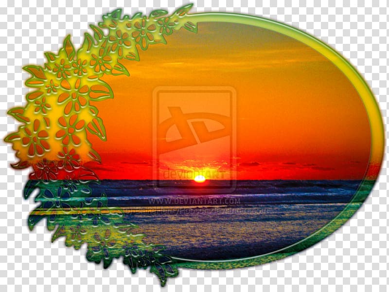 Sunrise graph Flower Sunset, sunrise transparent background PNG clipart