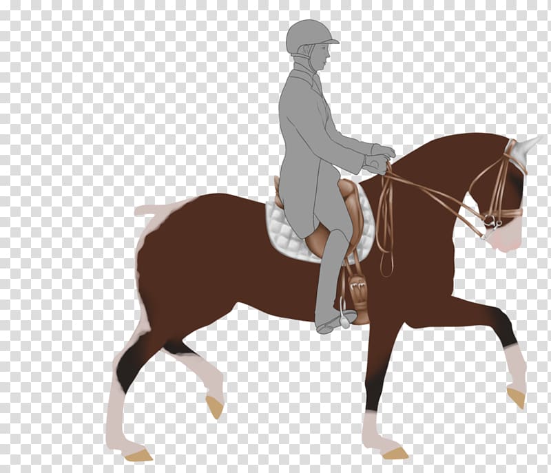 Stallion English riding Rein Bridle Mustang, mustang transparent background PNG clipart