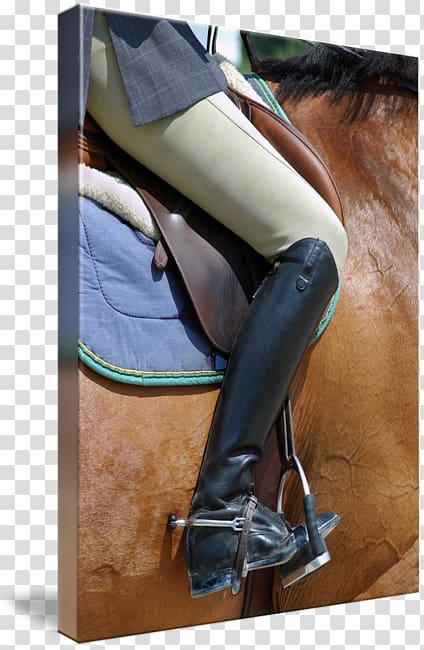 Bridle Riding boot Equestrian Saddle Rein, riding boots transparent background PNG clipart