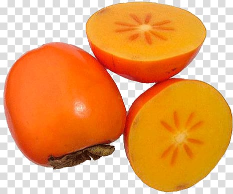 Persimmon transparent background PNG clipart