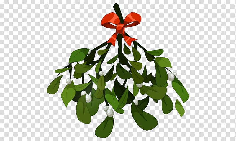 Mistletoe Phoradendron tomentosum Christmas , mistletoe transparent background PNG clipart