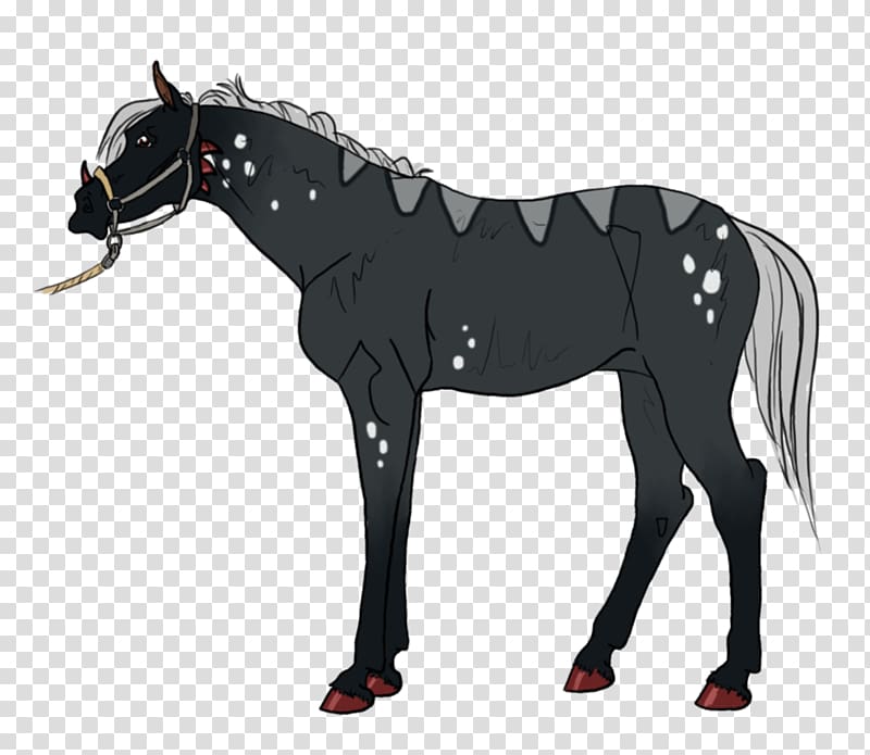 Mule Stallion Mare Mustang Hackney horse, mustang transparent background PNG clipart