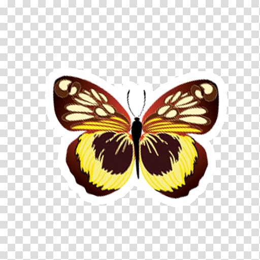 Monarch butterfly Drawing, zuchini transparent background PNG clipart