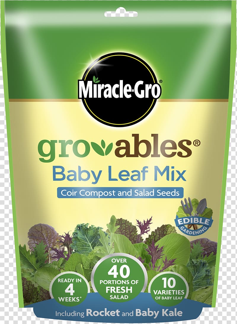 Mesclun Caesar salad Herb Vegetarian cuisine Miracle-Gro, vegetable transparent background PNG clipart