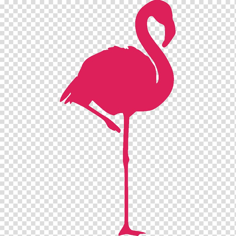flamingo , Greater flamingo Bird American flamingo Sticker, flamingos transparent background PNG clipart