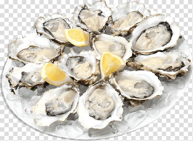 seafood dish, Oysters transparent background PNG clipart