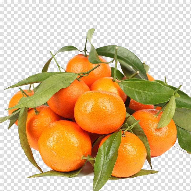 Tangerine Lemon Chenpi Ugli fruit Orange, Sand candy transparent background PNG clipart