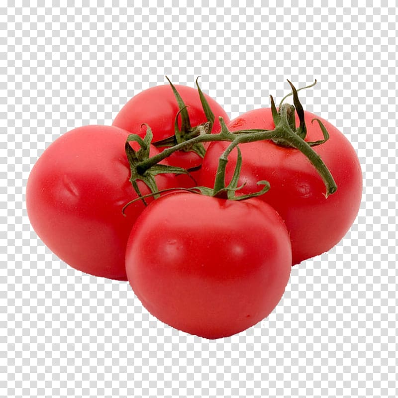 Tomato juice Cherry tomato Tuna salad Grape tomato Vegetable, tomato transparent background PNG clipart
