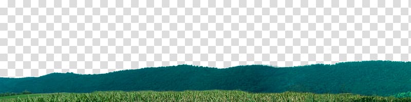 Biome Grassland Desktop Land lot Ecoregion, corn field transparent background PNG clipart