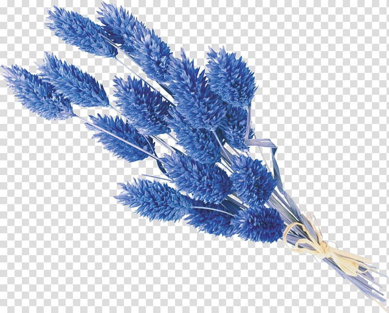 Flower bouquet , blue flower transparent background PNG clipart