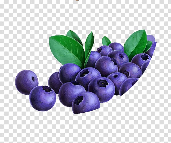 Blueberry Bilberry Fruit Lingonberry Anthocyanidin, Purple piles blueberries transparent background PNG clipart