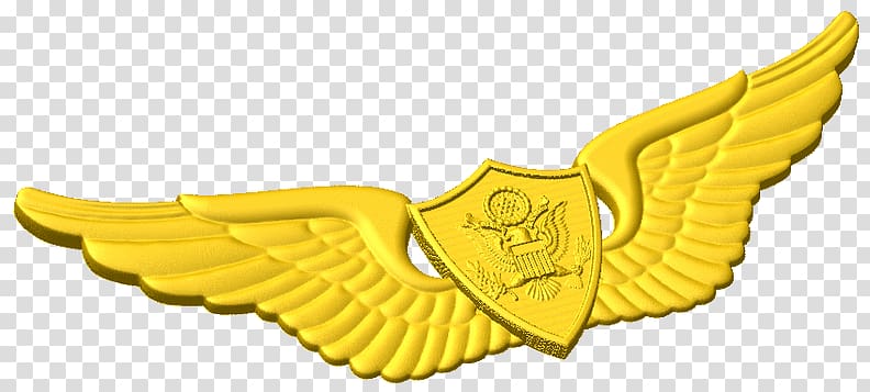 Astronaut badge Combat Infantryman Badge Expert Infantryman Badge Army, army transparent background PNG clipart