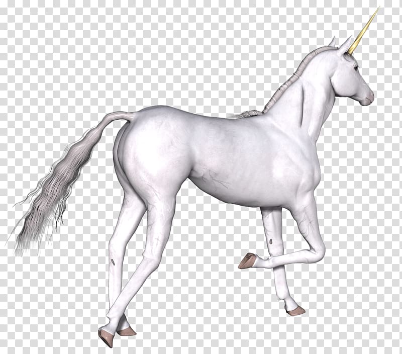 white unicorn art, Full White Unicorn Right Leg Up transparent background PNG clipart