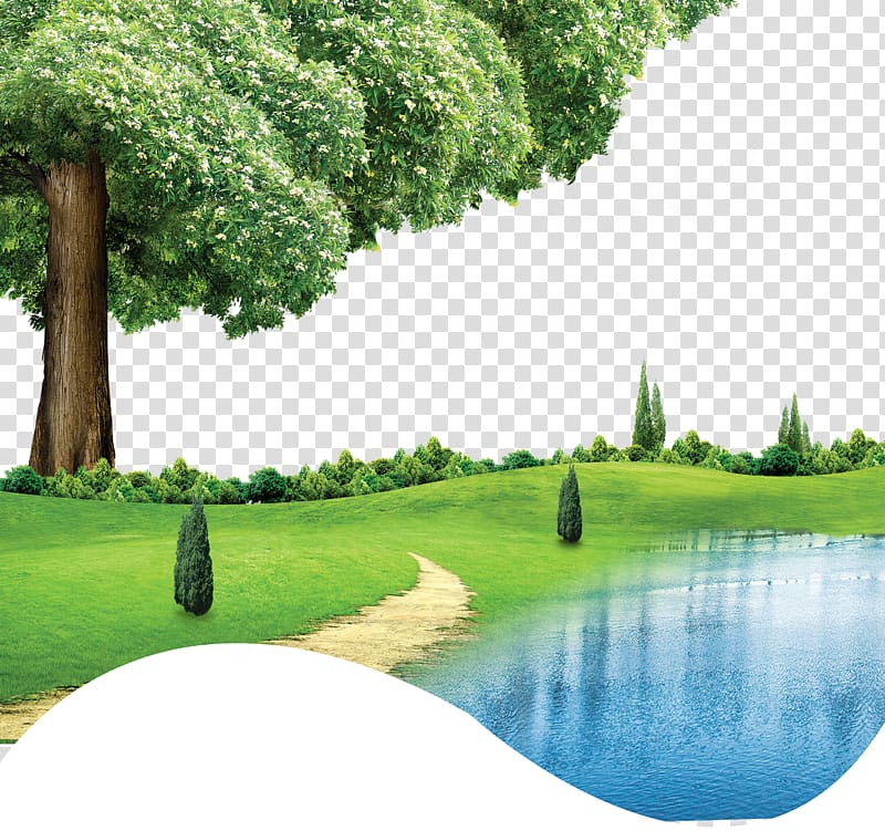 tree near lake painting, CorelDRAW Green, Spring green background effect transparent background PNG clipart