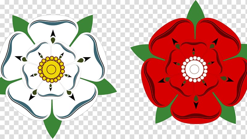 White Rose of York Wars of the Roses Battle of Bosworth Field Battle of Mortimer's Cross, rose transparent background PNG clipart