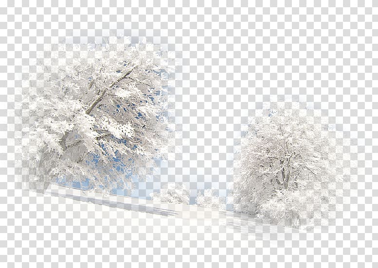 Landscape Winter Paysage d'hiver Desktop , winter transparent background PNG clipart