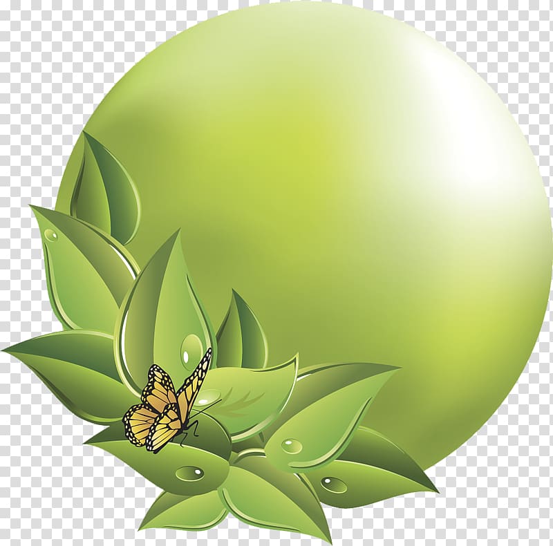 Icon, Green Butterfly Ring transparent background PNG clipart