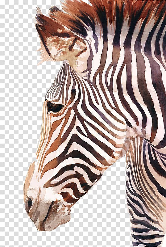 Horses Watercolor painting Zebra, Zebra illustration transparent background PNG clipart
