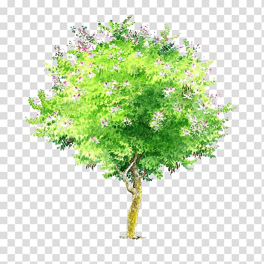 hand-painted trees trees creative psd transparent background PNG clipart
