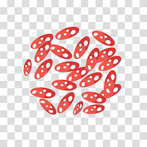 Line Point , line transparent background PNG clipart thumbnail