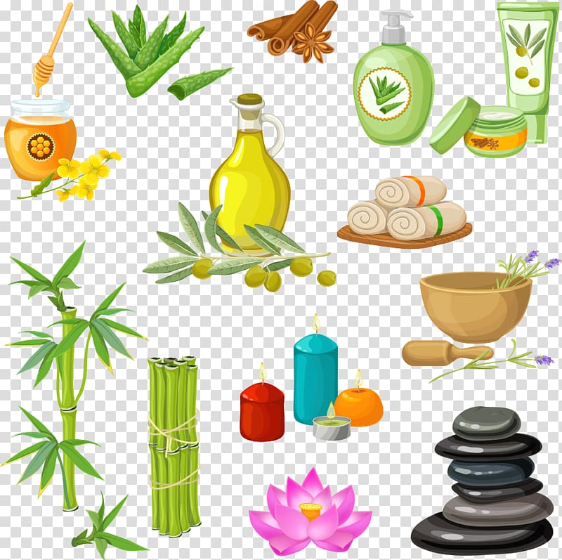 Day spa Olive oil Massage, olive oil and stone transparent background PNG clipart