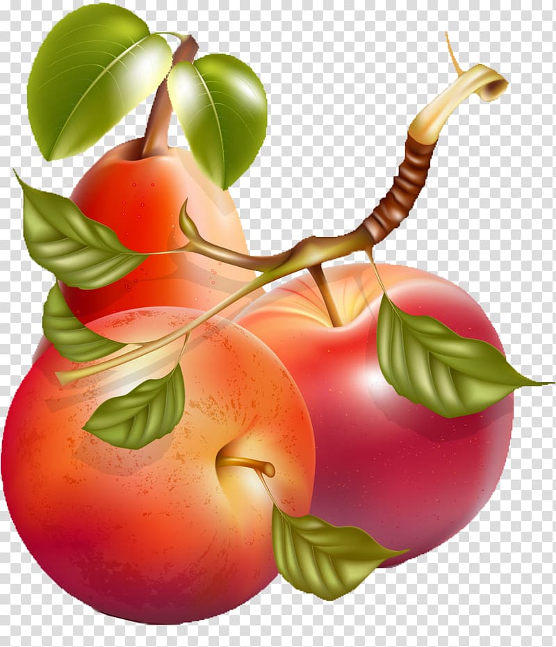 Apple Pear Illustration, Creative fruits Creative hand-painted cartoon fruit,Painted apple transparent background PNG clipart