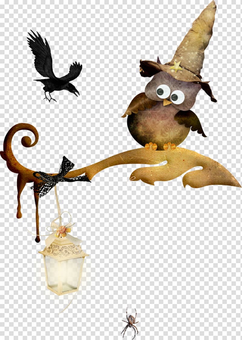 Halloween Drawing Owl Raven, Halloween transparent background PNG clipart