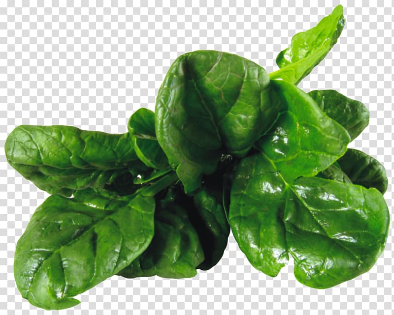 Spinach salad Vegetarian cuisine Leaf vegetable, spinach transparent background PNG clipart