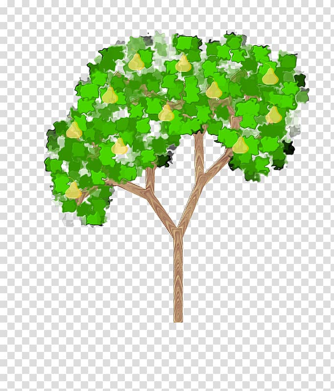Fruit tree Pyrus × bretschneideri , tree transparent background PNG clipart