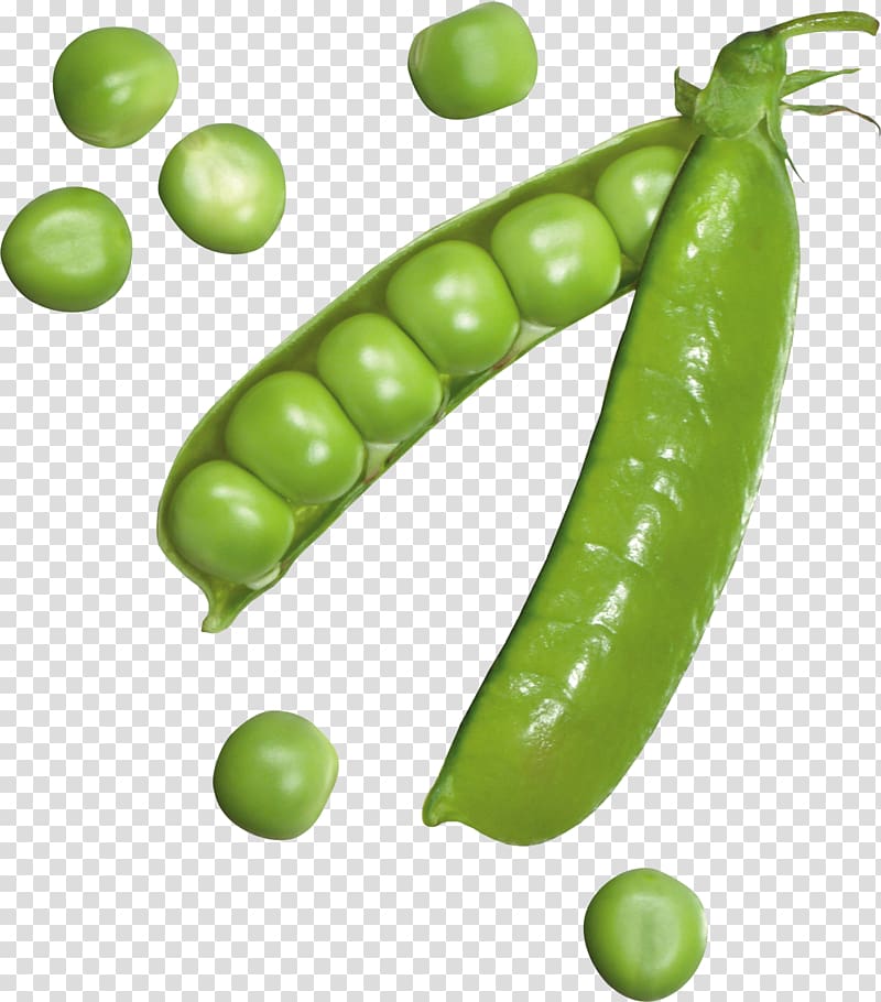 Pea transparent background PNG clipart