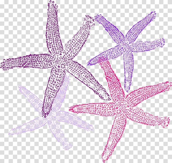 Wedding invitation Beach Starfish , palm border transparent background PNG clipart