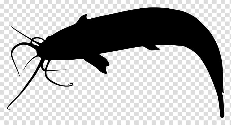 Catfish Silhouette , Silhouette transparent background PNG clipart