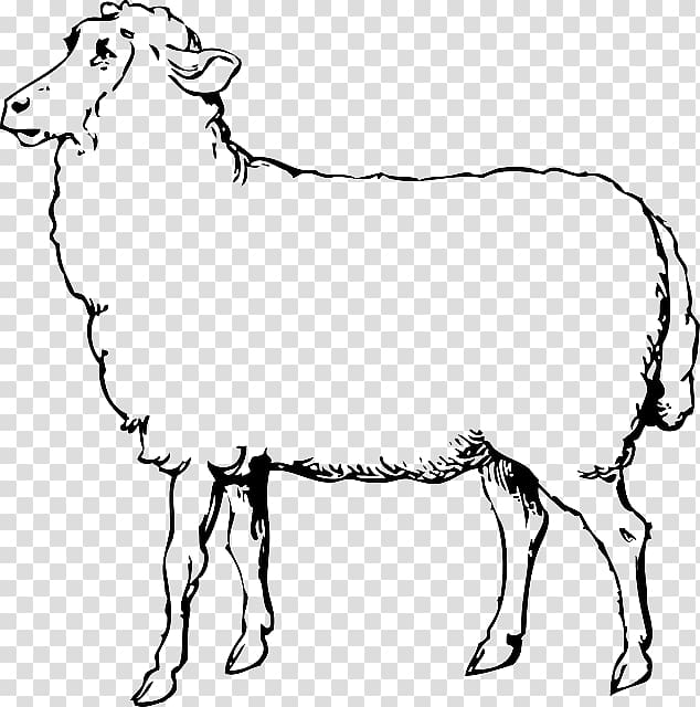 Sheep Goat , Animals Outline Drawing transparent background PNG clipart