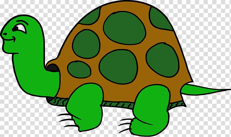 Tortoise Turtle Portable Network Graphics, turtle transparent background PNG clipart