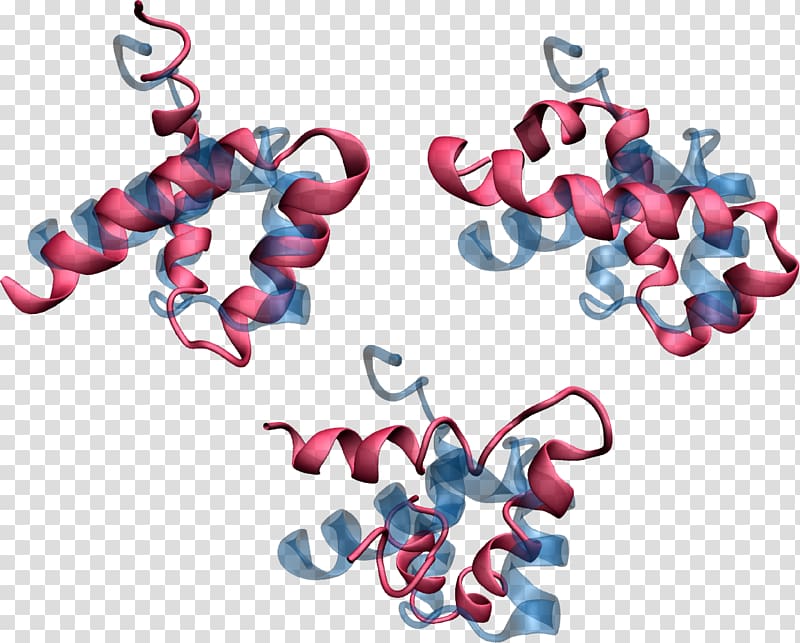 Computational Protein Design Protein engineering Conformational isomerism, superimposed transparent background PNG clipart