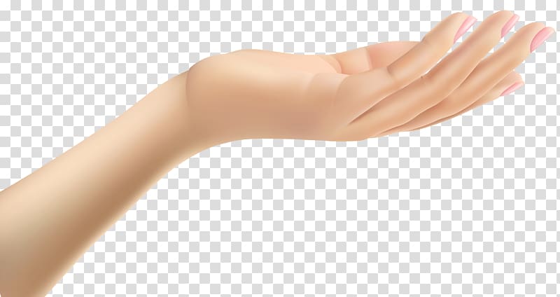 Thumb Hand Arm , Female Hand transparent background PNG clipart