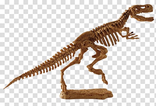 dinosaur fossil illustration, T-Rex Fossil transparent background PNG clipart