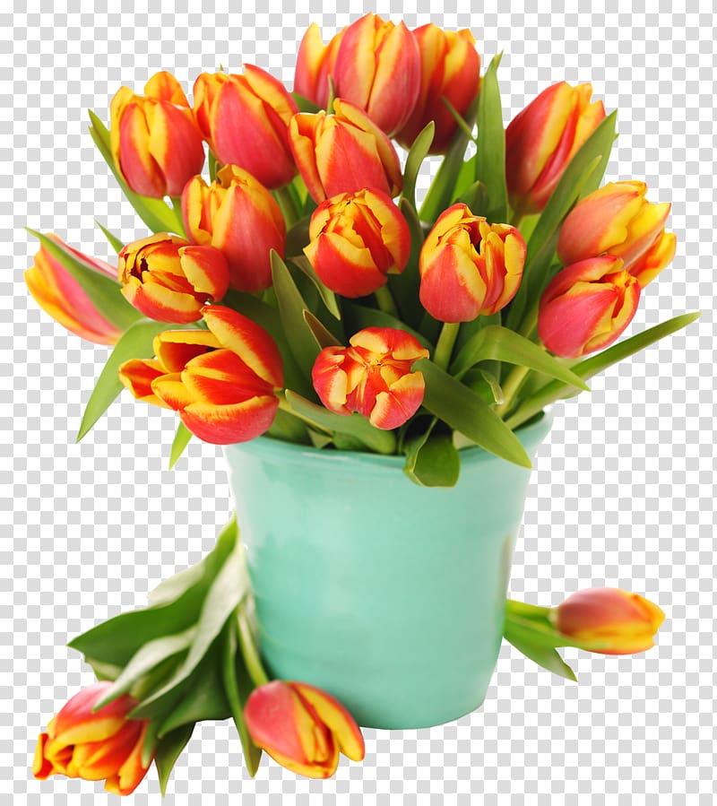 Tulip Easter egg Flower Desktop , tulip transparent background PNG clipart