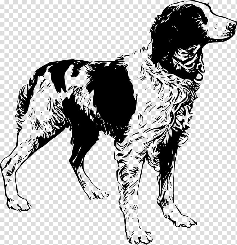 Brittany dog Clumber Spaniel , dog Sketch transparent background PNG clipart