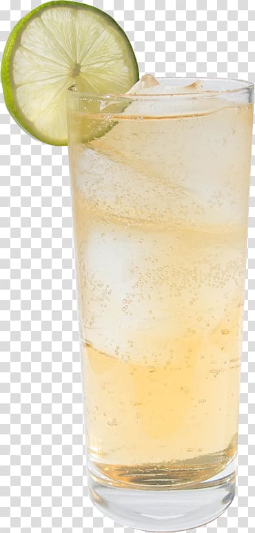 Rickey Gin and tonic Dark \'N\' Stormy Highball Sea Breeze, gin and tonic transparent background PNG clipart