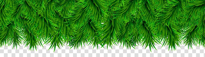 green garland illustration, .com Microsoft Windows CCleaner Software, Pine Border Decoration transparent background PNG clipart