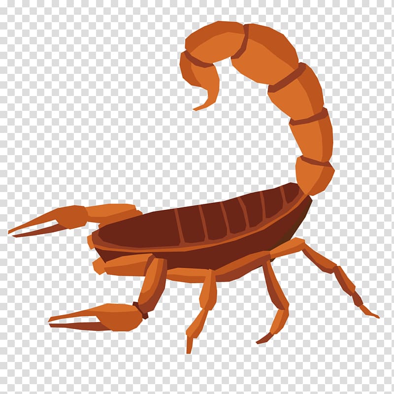 Scorpion Turtle Reptile, Cartoon scorpion transparent background PNG clipart