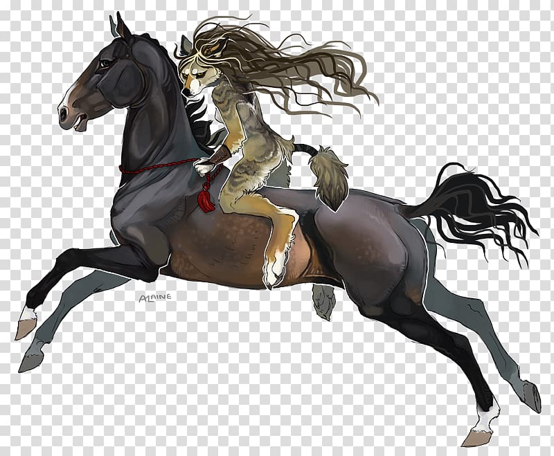 Mustang English riding Rein Stallion Equestrian, quiet gestures transparent background PNG clipart
