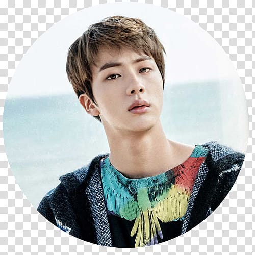 Jin 2017 BTS Live Trilogy Episode III: The Wings Tour Singer, wings transparent background PNG clipart