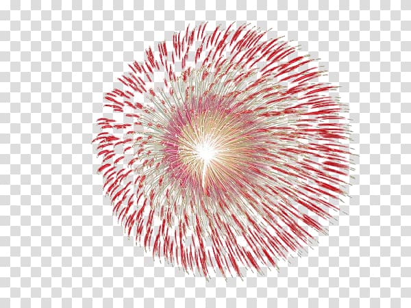 Adobe Fireworks Icon, Round festive fireworks transparent background PNG clipart