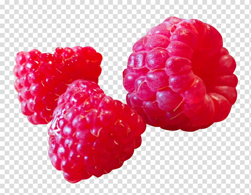 Raspberry Frutti di bosco Redcurrant Boysenberry Blackcurrant, Raspberry transparent background PNG clipart