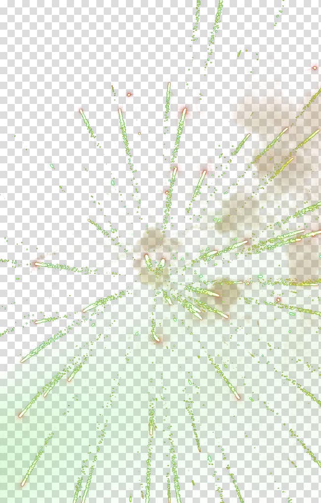 Twig Green Pattern, Fireworks transparent background PNG clipart